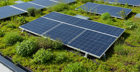 Zonnepanelen op een groen dak van een huis